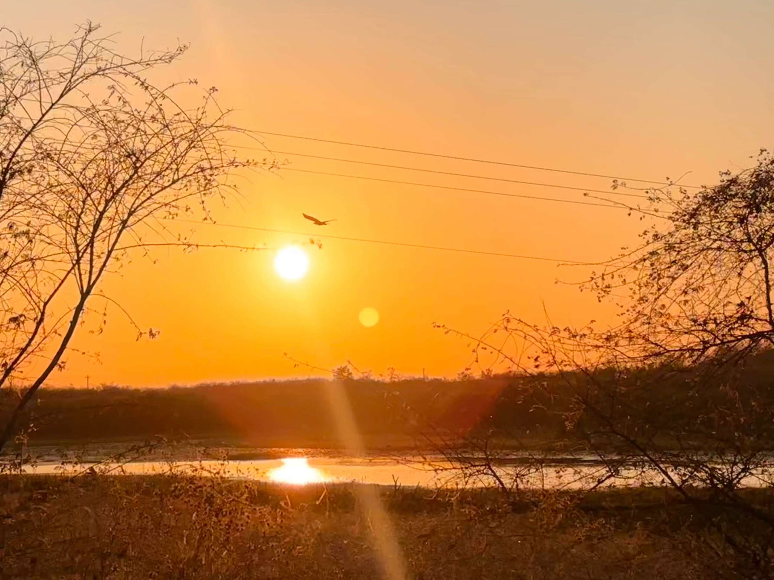 Temperaturas máximas deverão variar entre 36ºC e 40ºC no interior do estado até quinta (26)