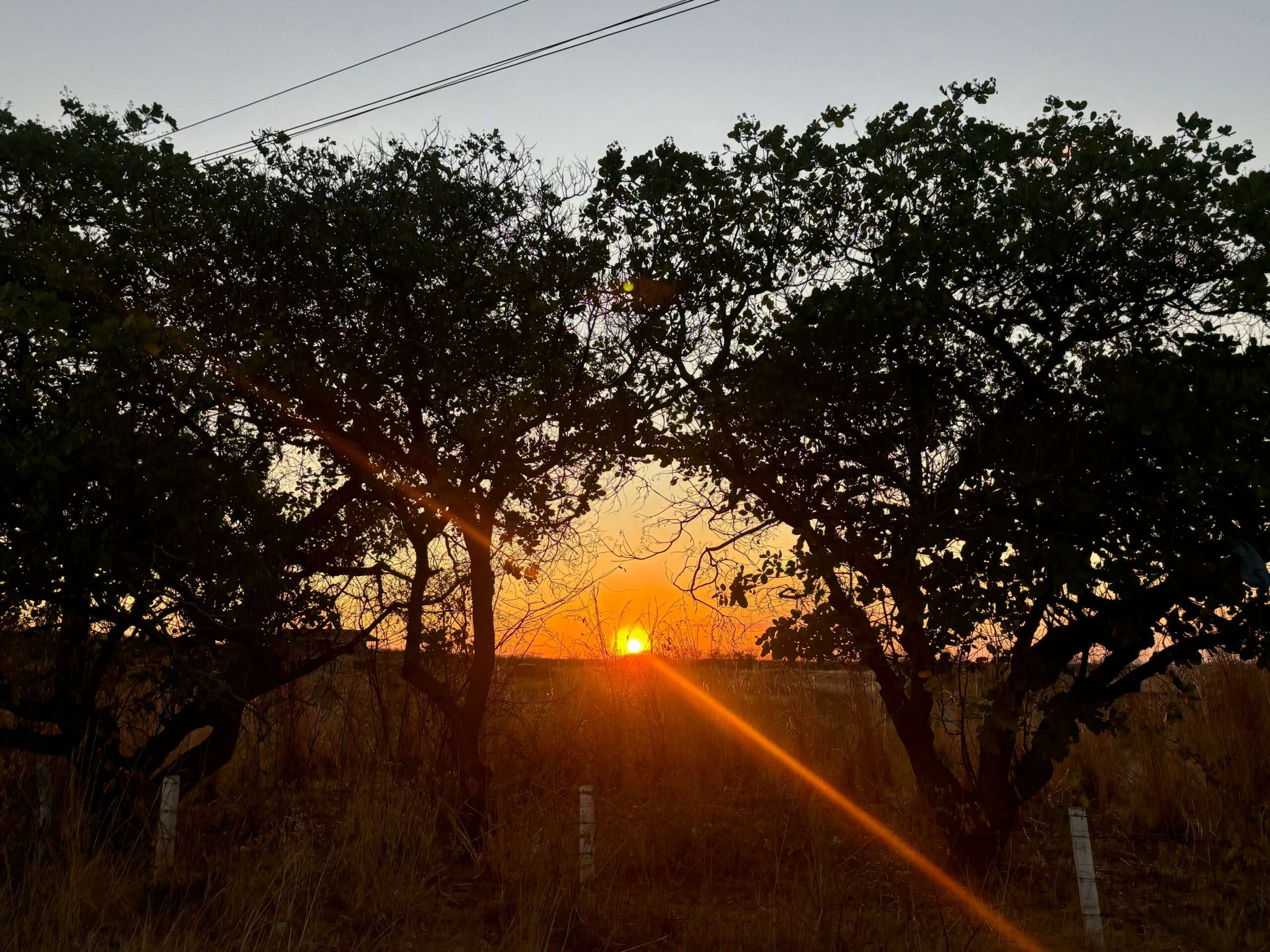 Quanto à umidade relativa mínima, a Funceme prevê valores entre 15% e 35% para o período da tarde desta terça (29) e quarta-feira (30) (FOTO: Marciel Bezerra)