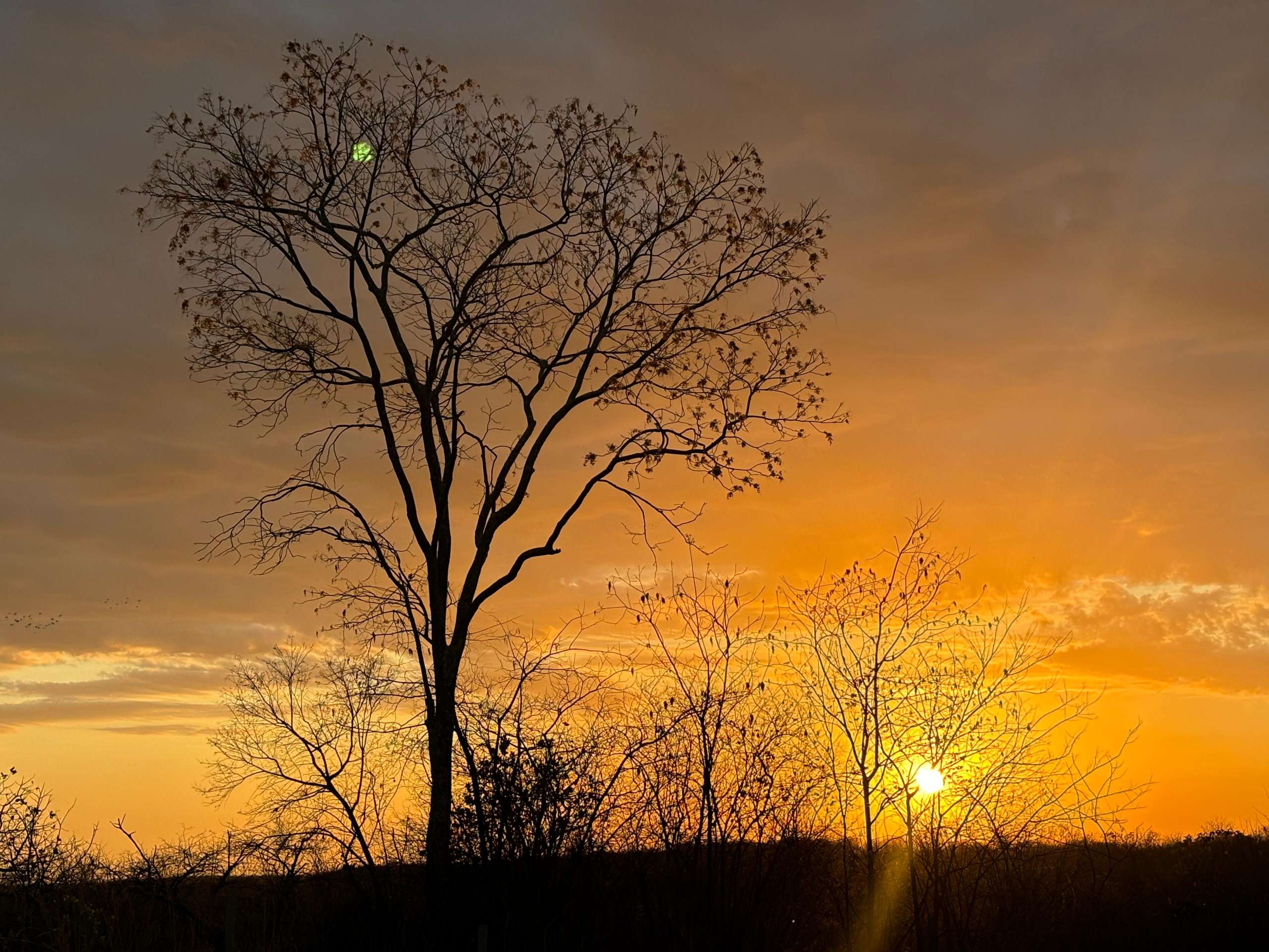 As temperaturas máximas podem atingir cerca de 38°C em alguns municípios do Cariri e da Jaguaribana (FOTO: Marciel Bezerra)